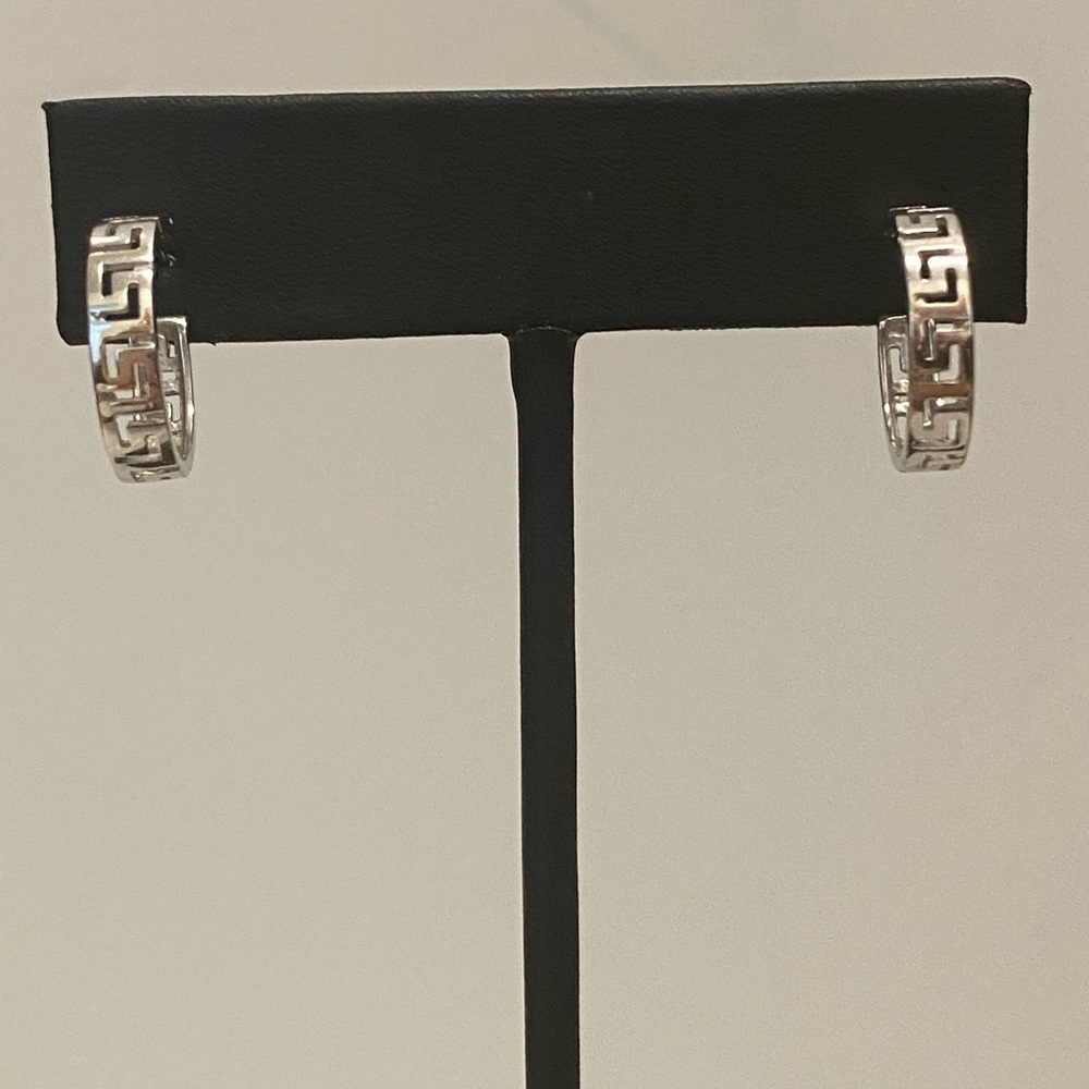 Earrings Silver NWOT